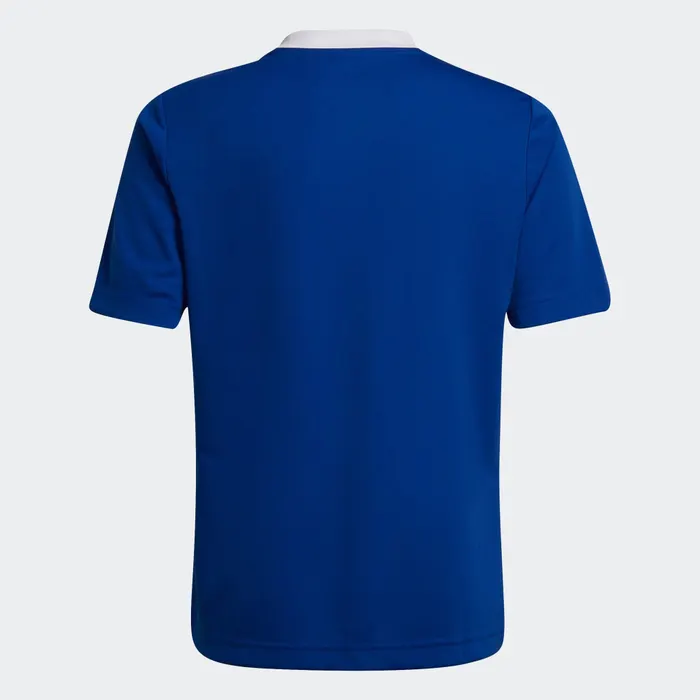 Adidas Entrada 22 SS Shirt Junior