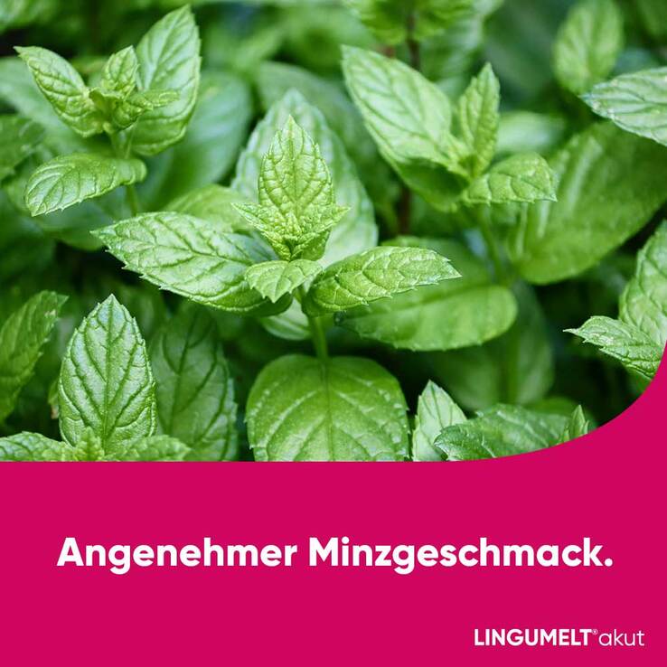 LINGUMELT akut Schmelztabletten, 6 St