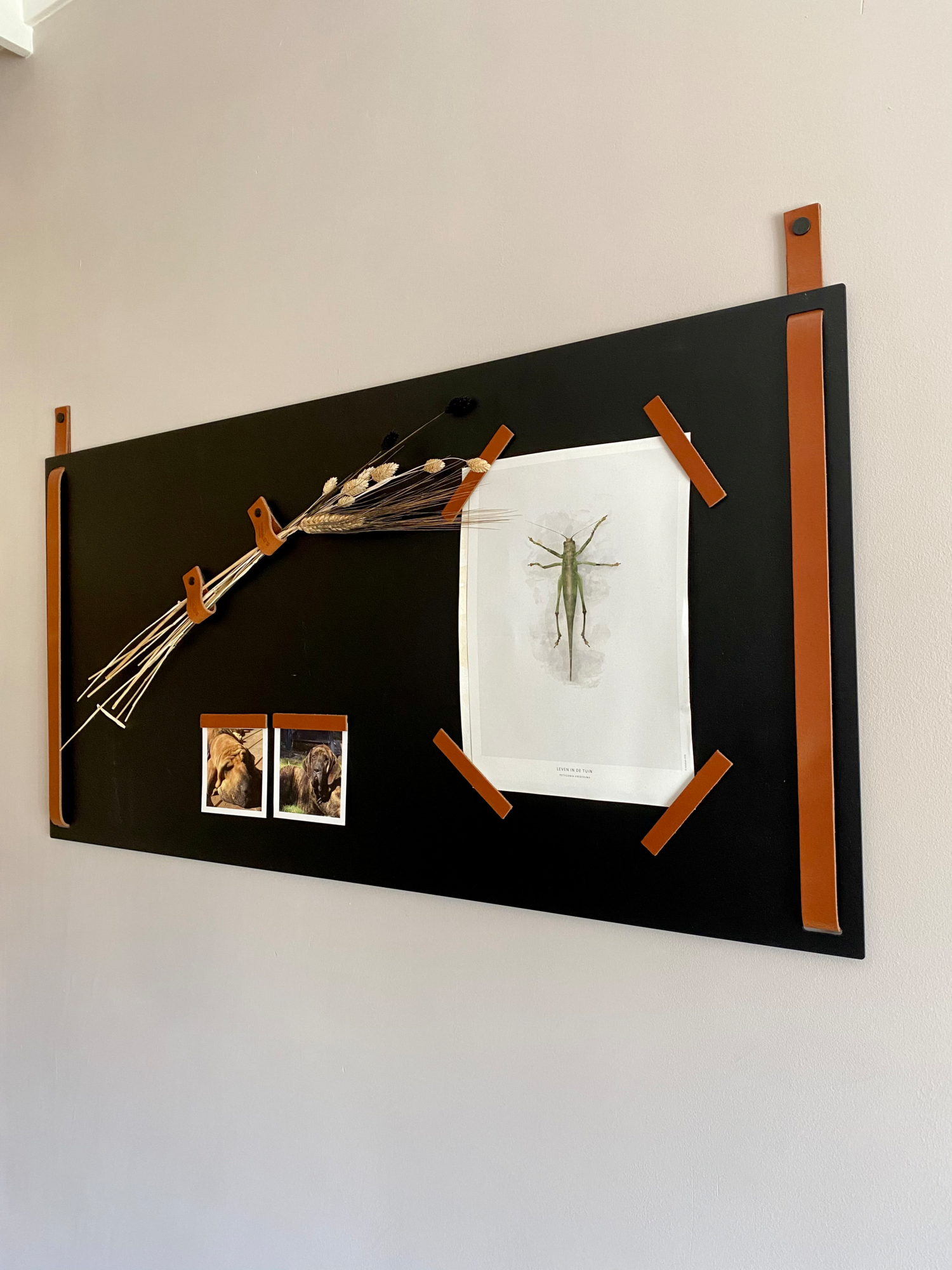Magneetbord XL | Horizontaal - Donkerbruin