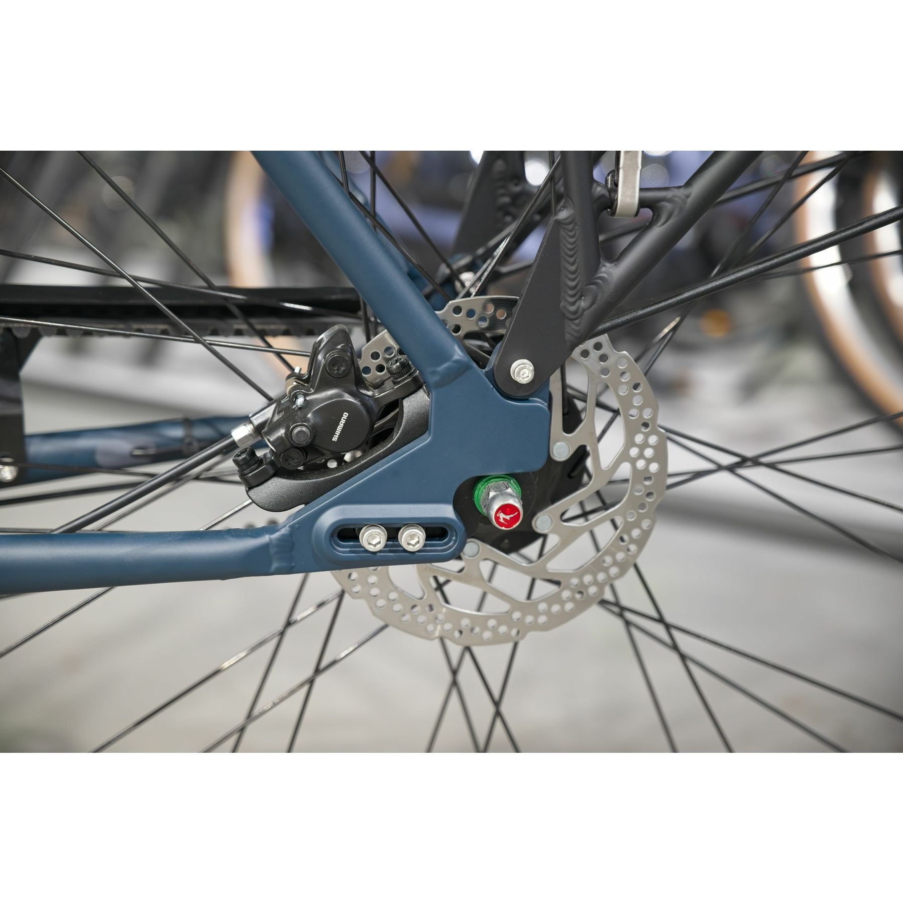 Gazelle Esprit T7 Belt 2026
