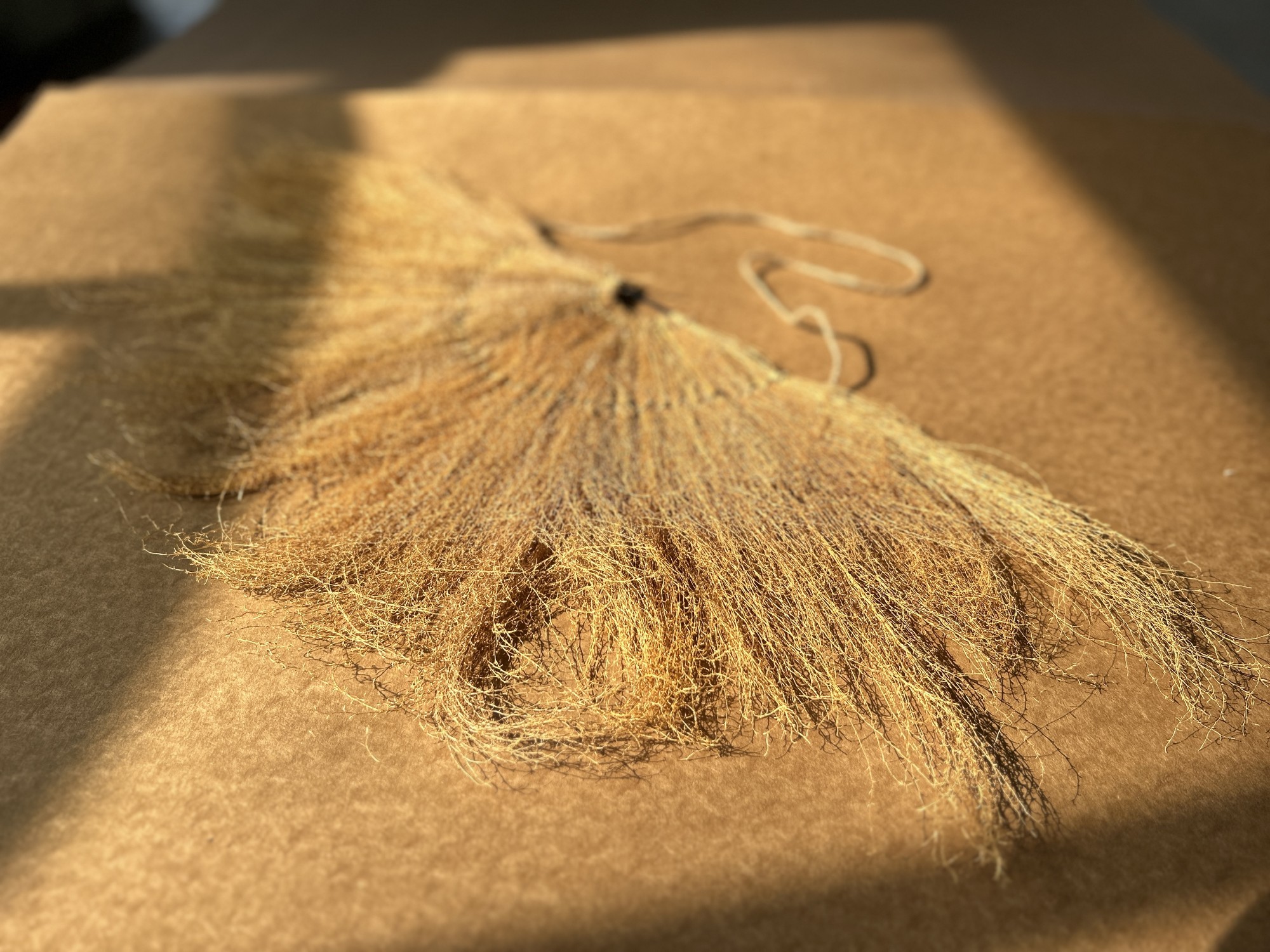 Wandschmuck aus Schilfgras, natur, B 80 cm, H 40 cm von fischer's lagerhaus