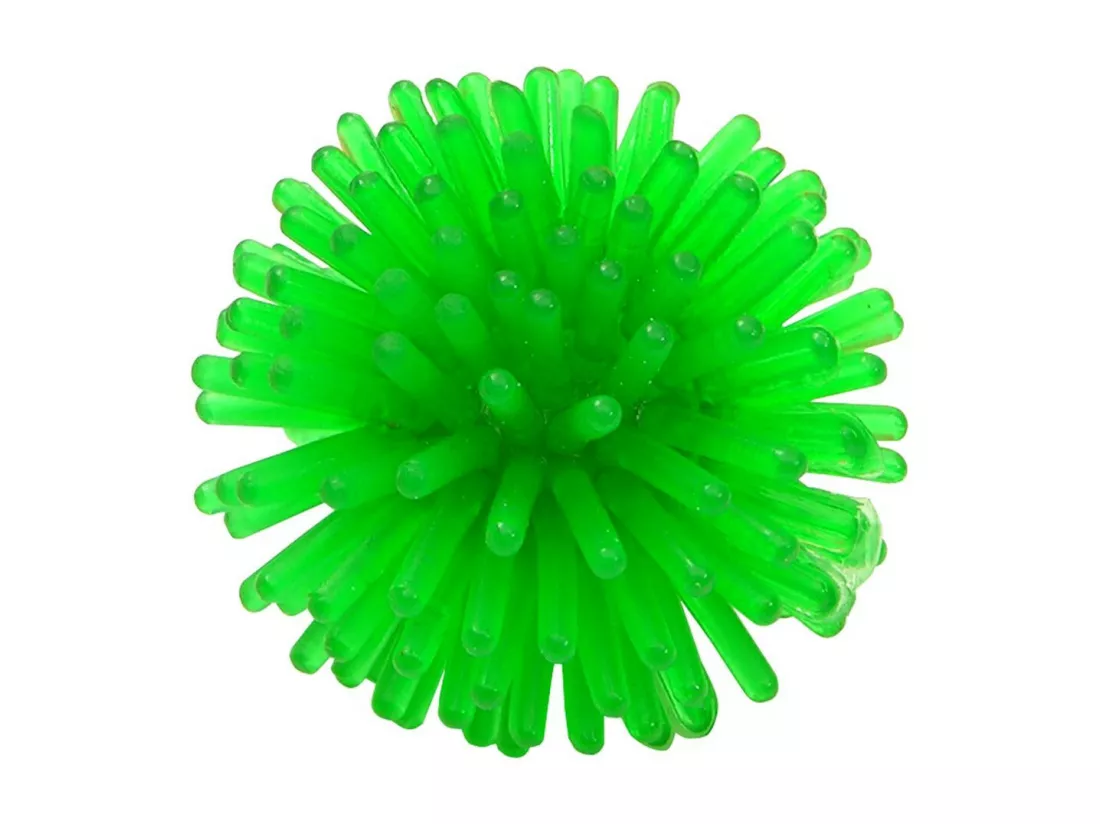 Lot de 4 Jouets pour Chien 