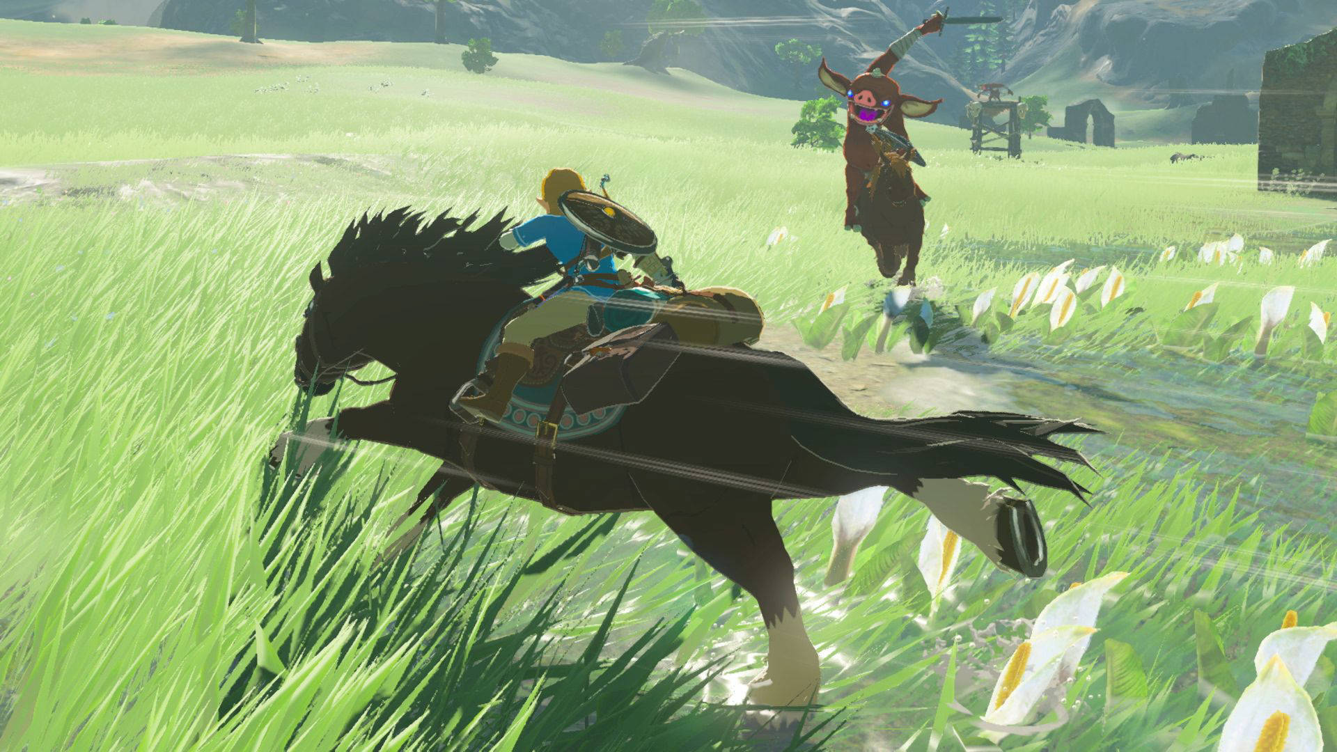 Nintendo The legend of Zelda: Breath of the Wild (Nintendo Switch)