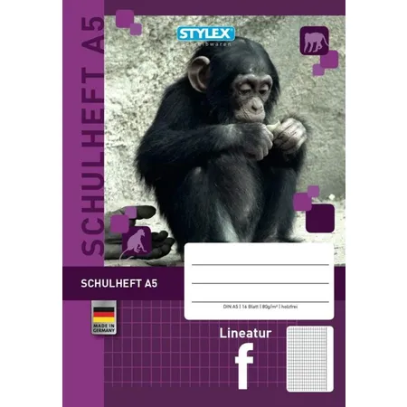 Stylex Schulheft, Lineatur F, A5, 16 Blatt