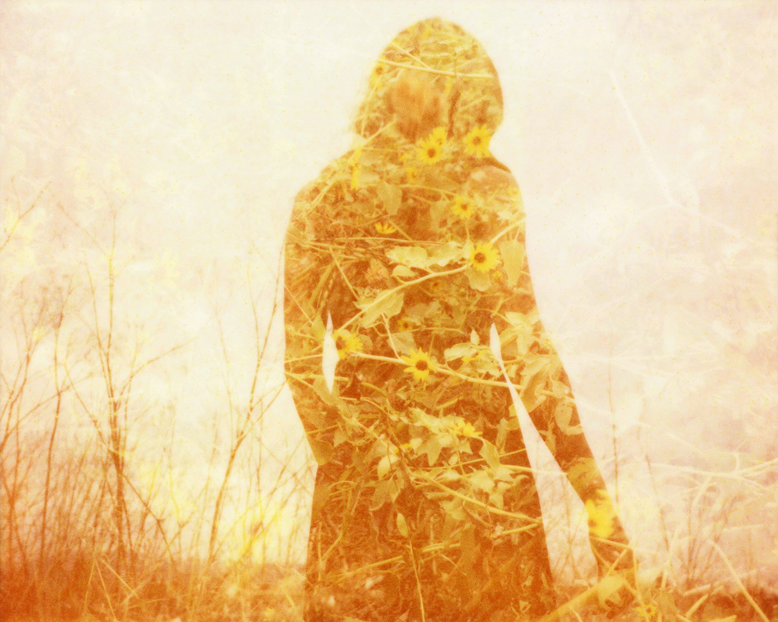 Illuminated III by Clay Lipsky - Limited Edition. Edition of: 100. Signed.