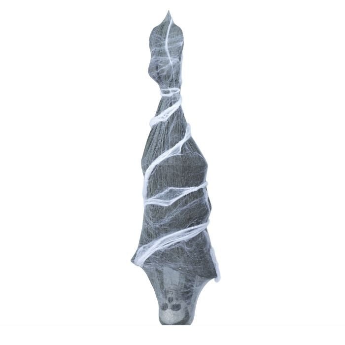 Halloween Pop Skelet In Spinnenweb