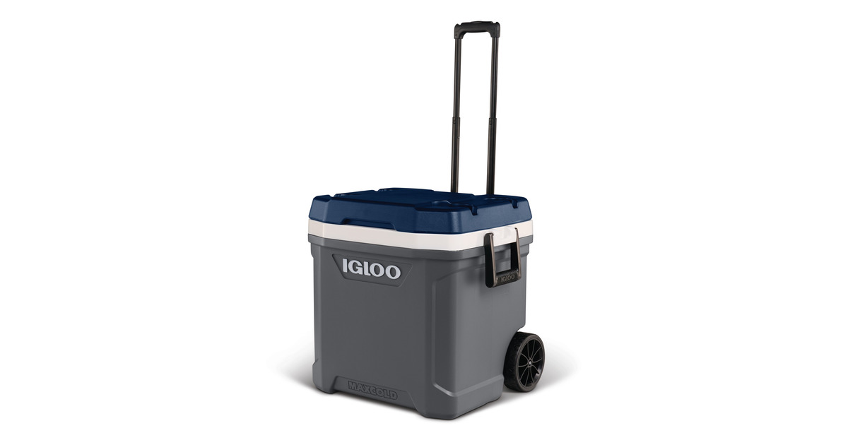 IglooMaxcold 62, 59 liter koelbox  (Grijs)