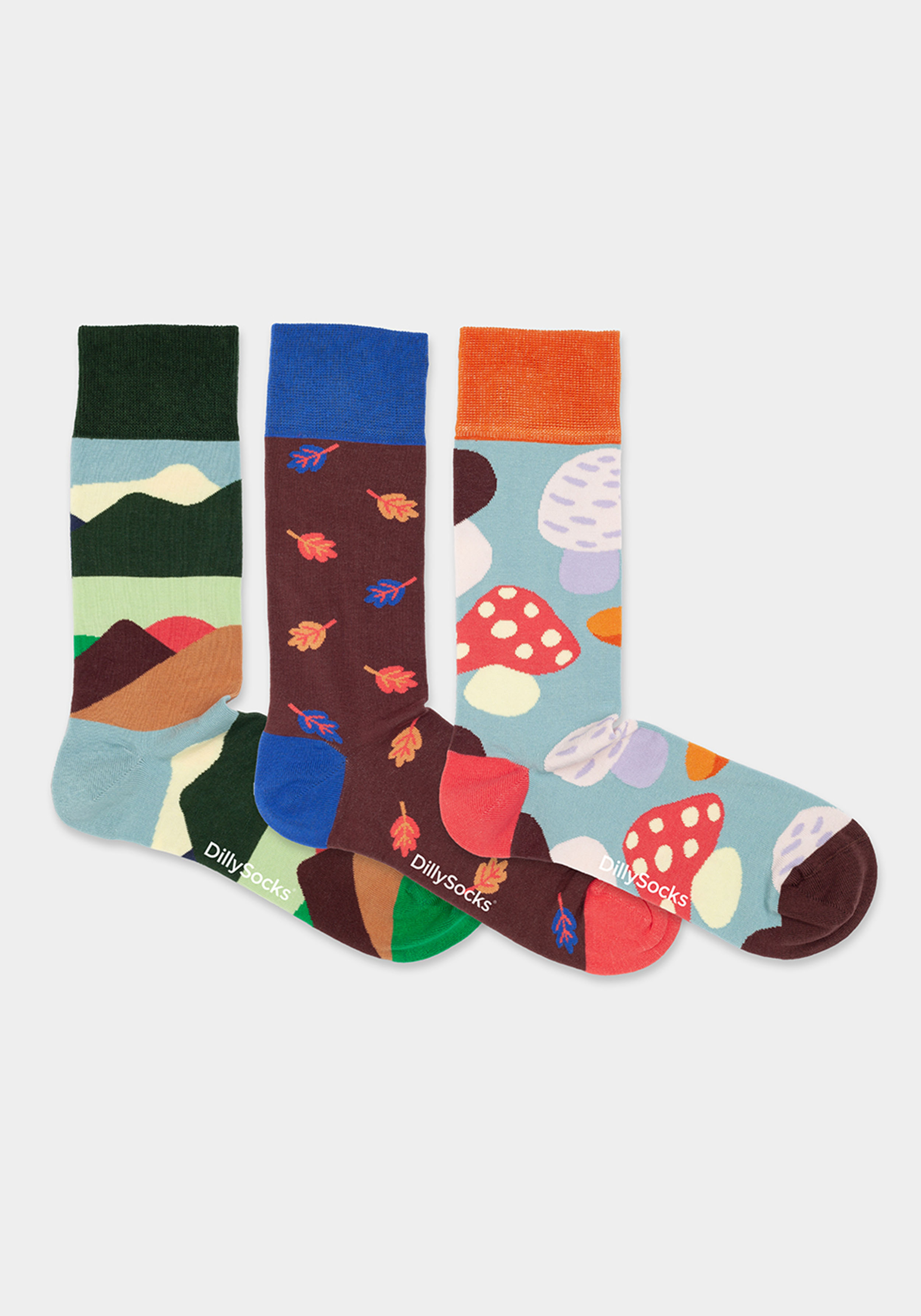 DillySocks Socken 3er-Pack Geschenkbox Fall Wonders