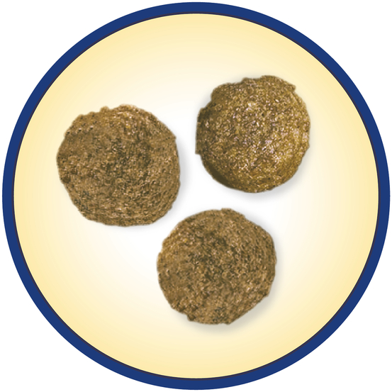 Croquettes chien adulte au poulet Super Premium - 14 kg