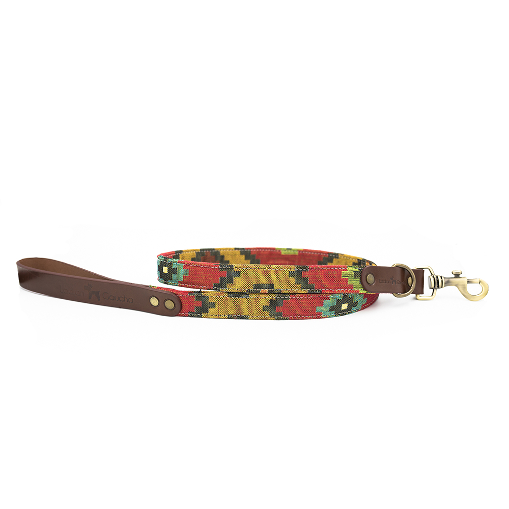 Guia para cães artesanal Bark Gaucho Scooby Doo