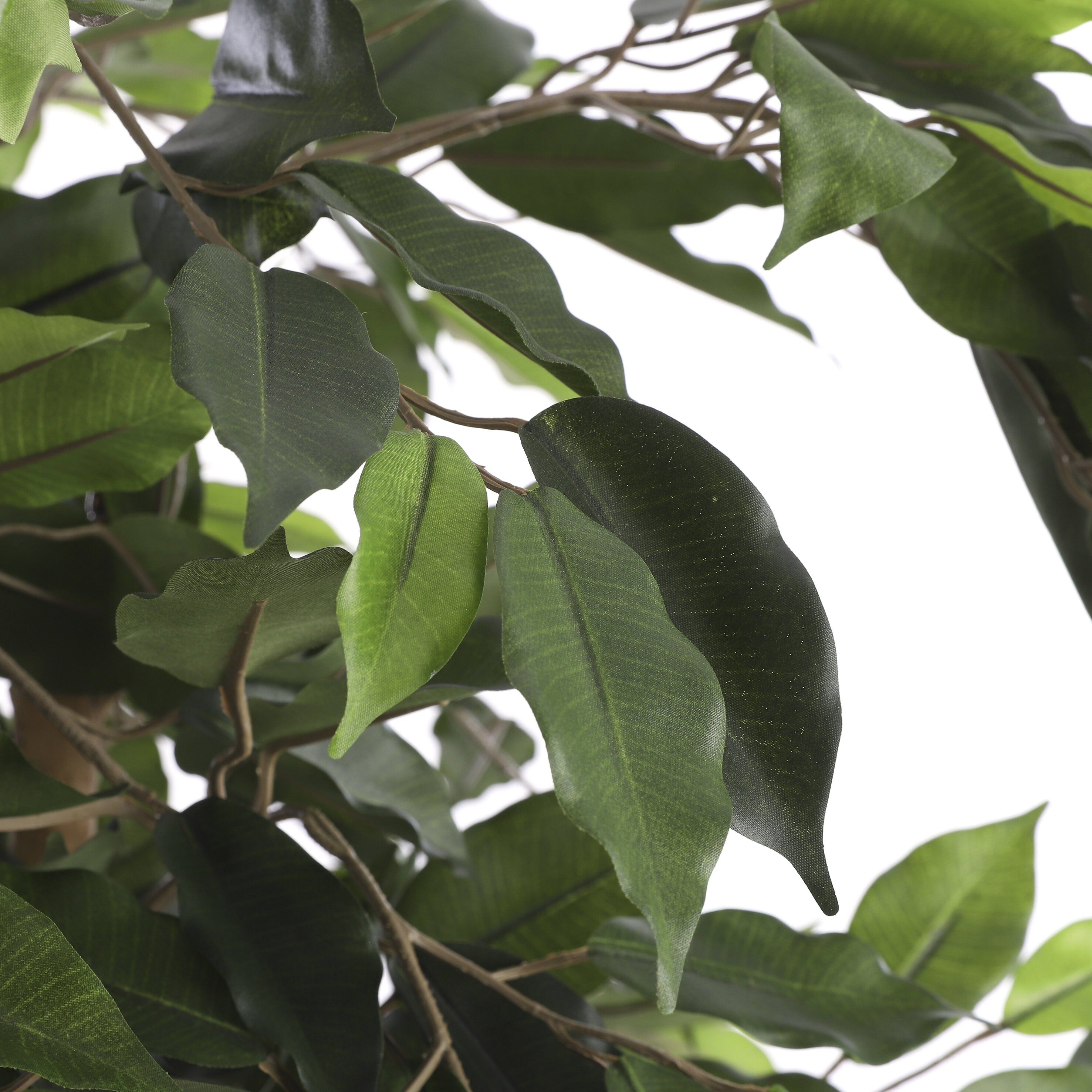 Mica Decorations Ficus groen in plastic pot - h110xd65cm