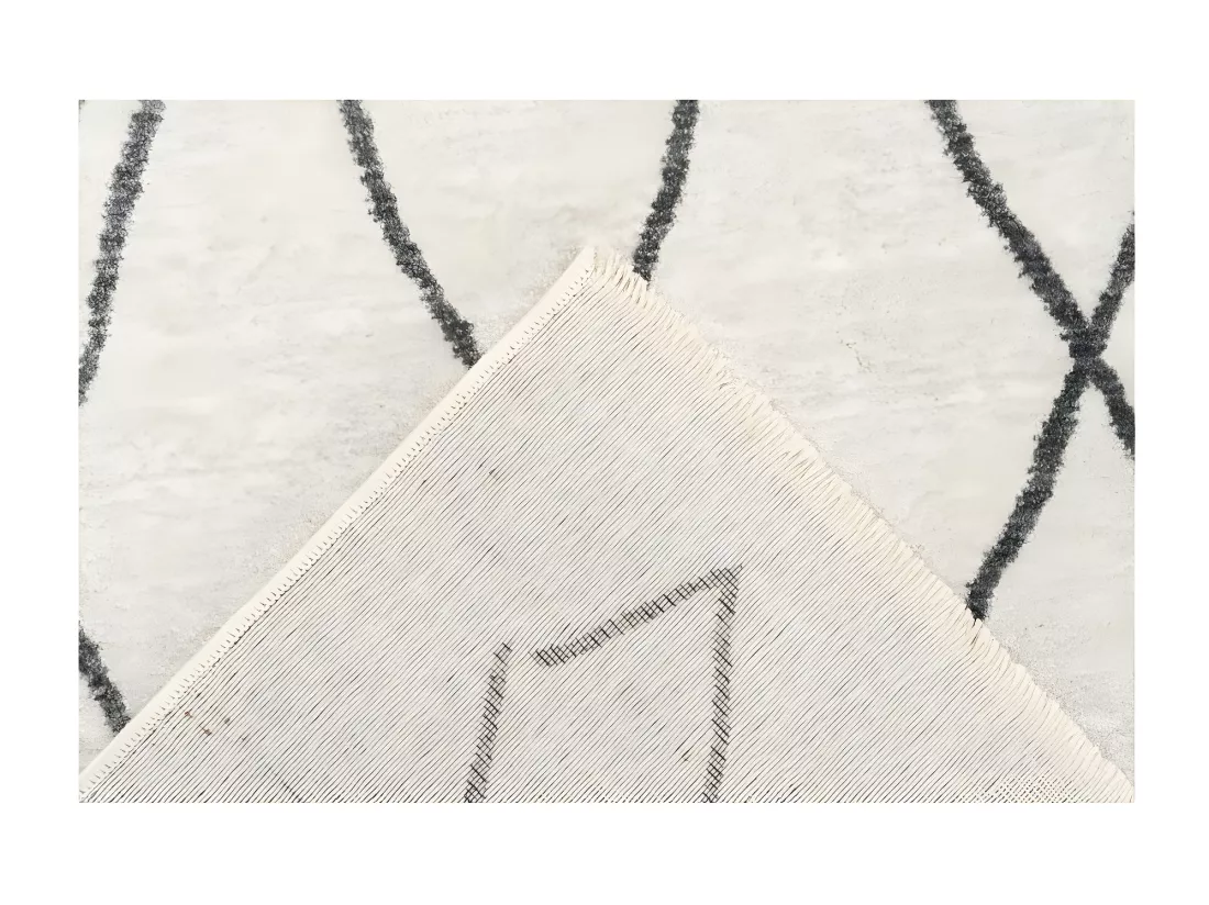 Tapis 230x160cm, design A205R coloris ivoire - Confort et élégance pour votre intérieur