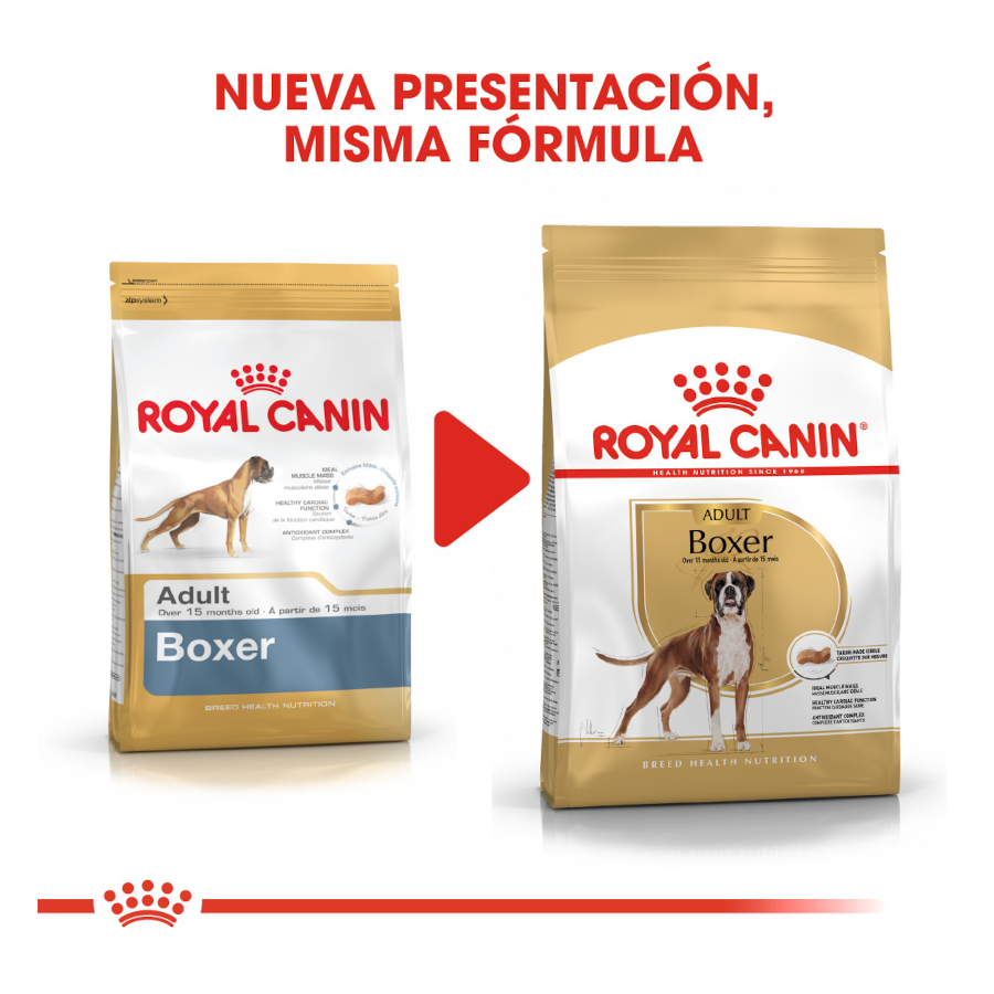 Ração Royal Canin Adult Boxer para cães