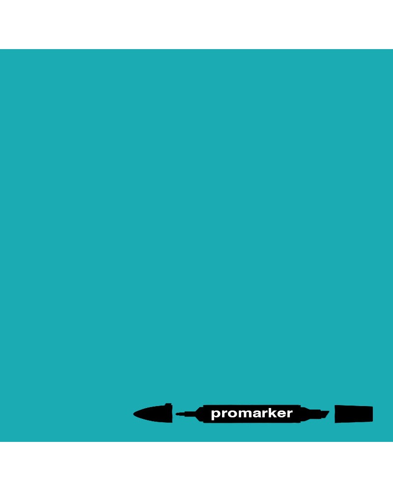 Turquoise - C247