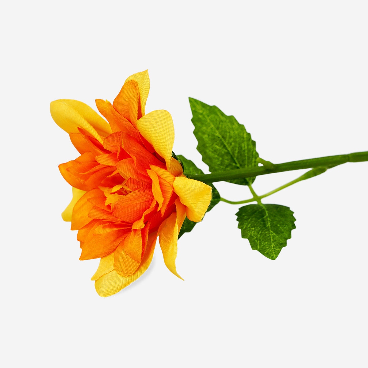 Orange dekorativ blomst