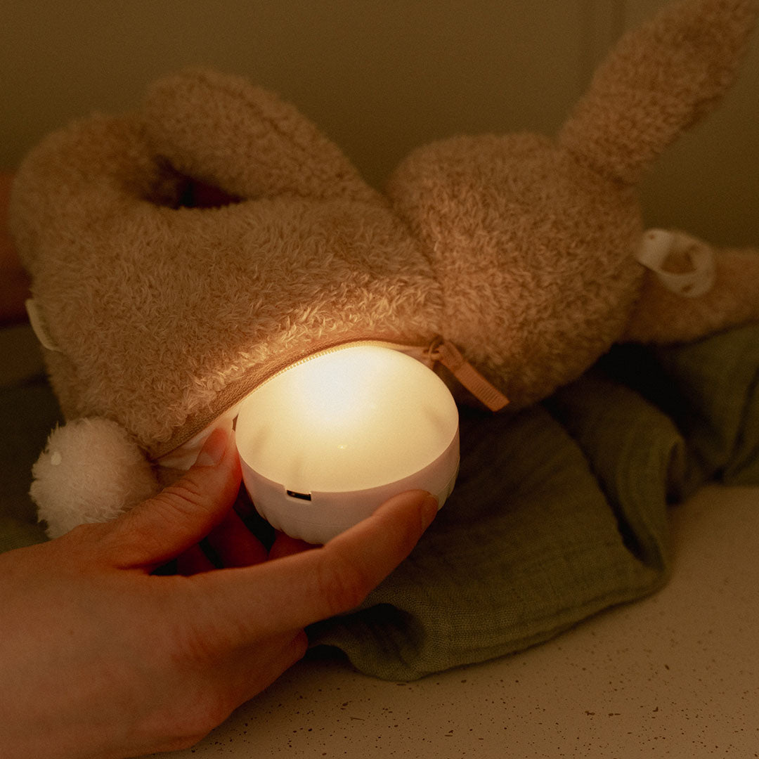 little dutch knuffelkonijn met licht en geluid