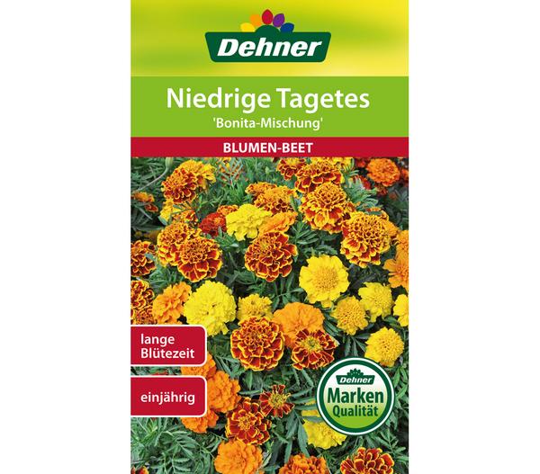 Dehner Saatgut Niedrige Tagetes 'Bonita
