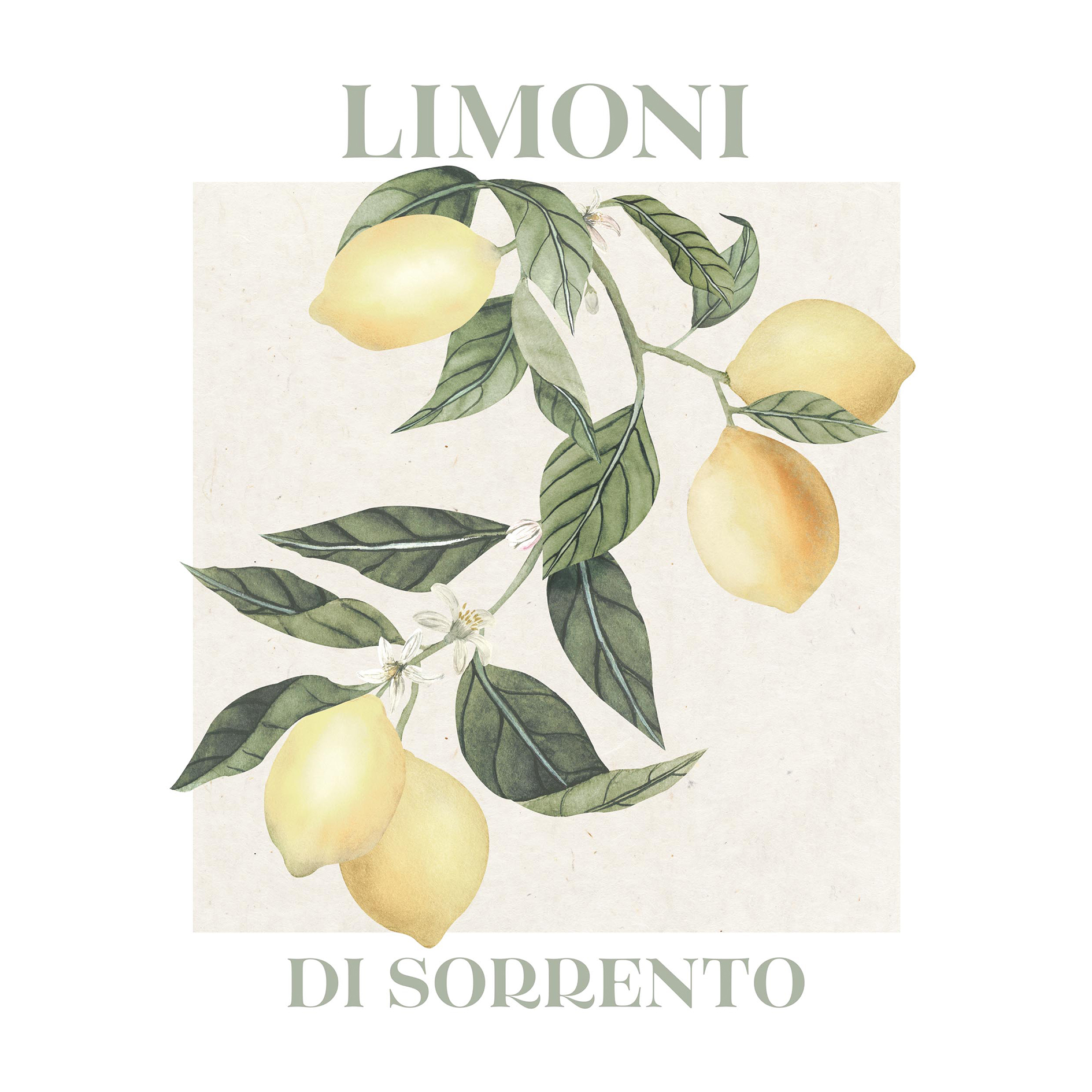 Gerahmtes Bild LIMONI - 40x50 cm