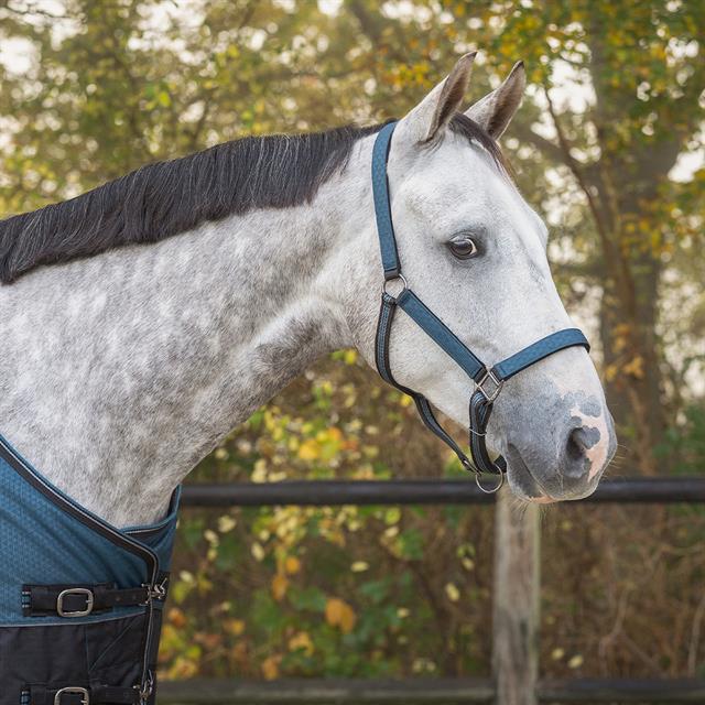 Halsterset QHP Turnout Blauw