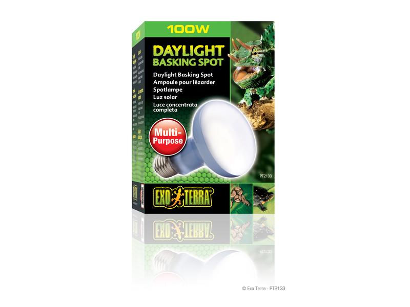 Exo Terra Terrarienlampe Daylight Basking Spot E27, R25/100 Mehrzweck-Spotlampe