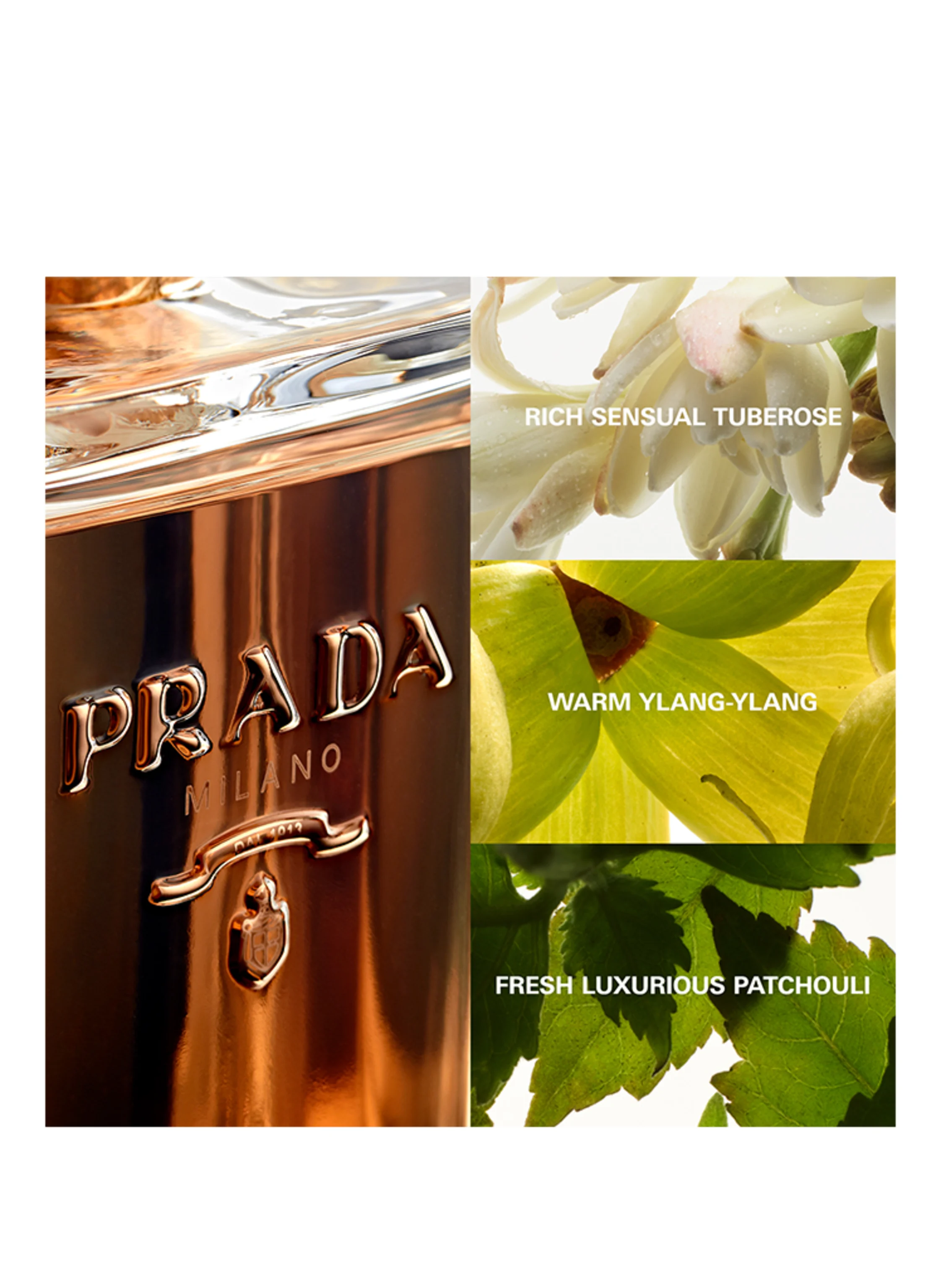 PRADA Parfums LA FEMME PRADA INTENSE