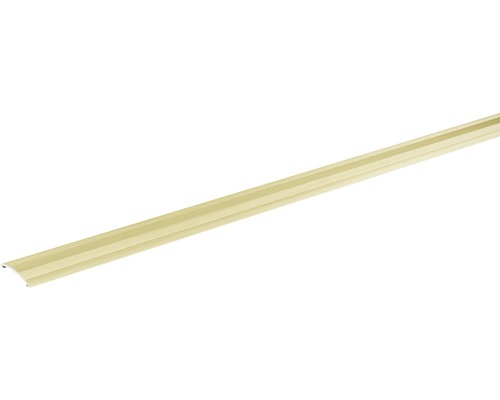 SKANDOR verstelprofiel, champagne geanodiseerd, zelfklevend, 4x28x900 mm