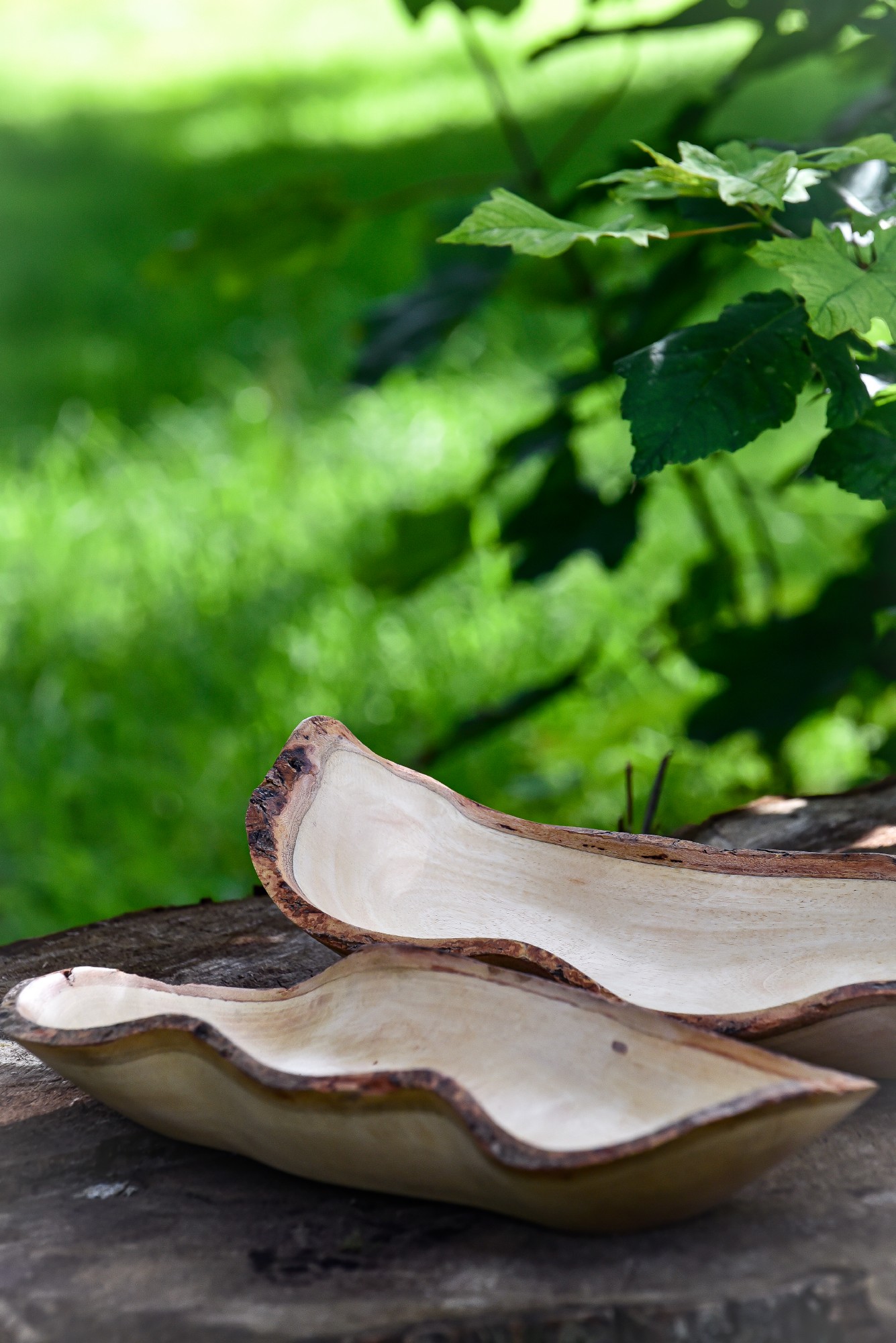 Schale in Wellenform, 'Mangoholz', natur, T 44 cm von fischer's lagerhaus