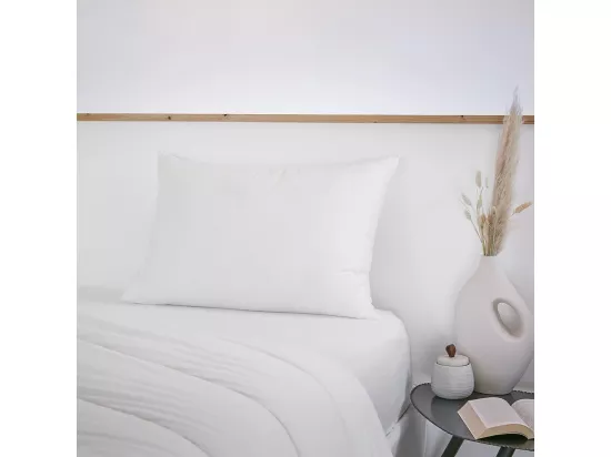 SOFTLINE - Oreiller Coton anti-acariens 50 x 70 cm
