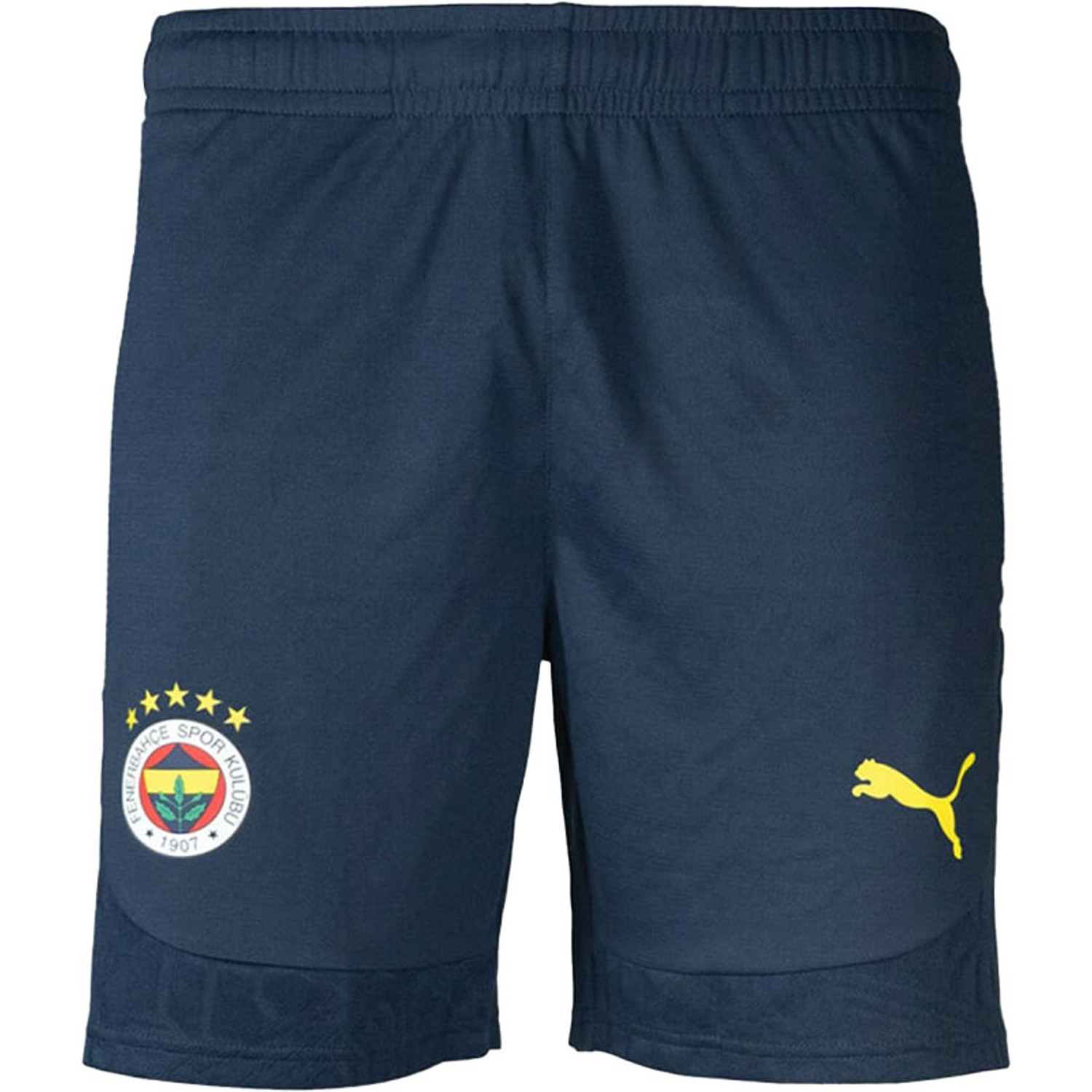 Puma Fenerbahce Training Short 2024/2025