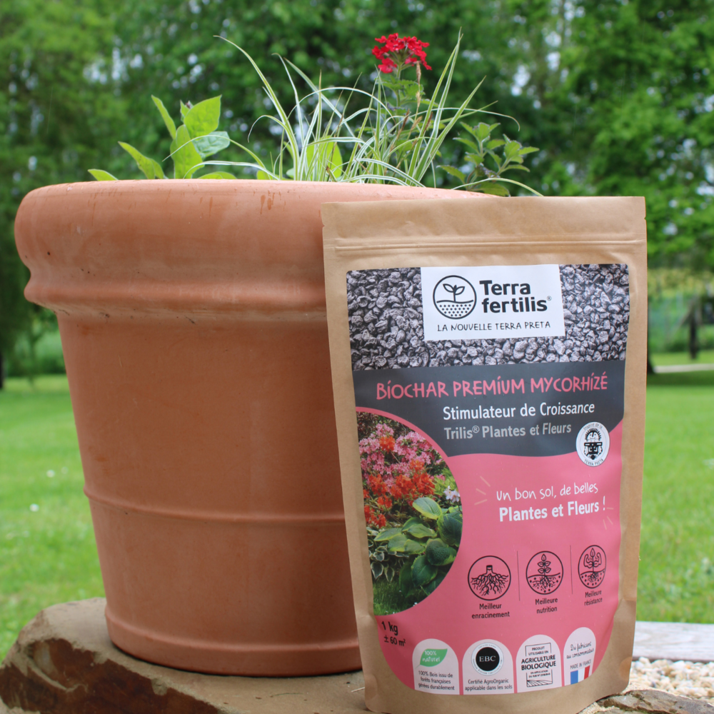 Fertilisant plantes et fleurs à base de mycorhizes - 250g