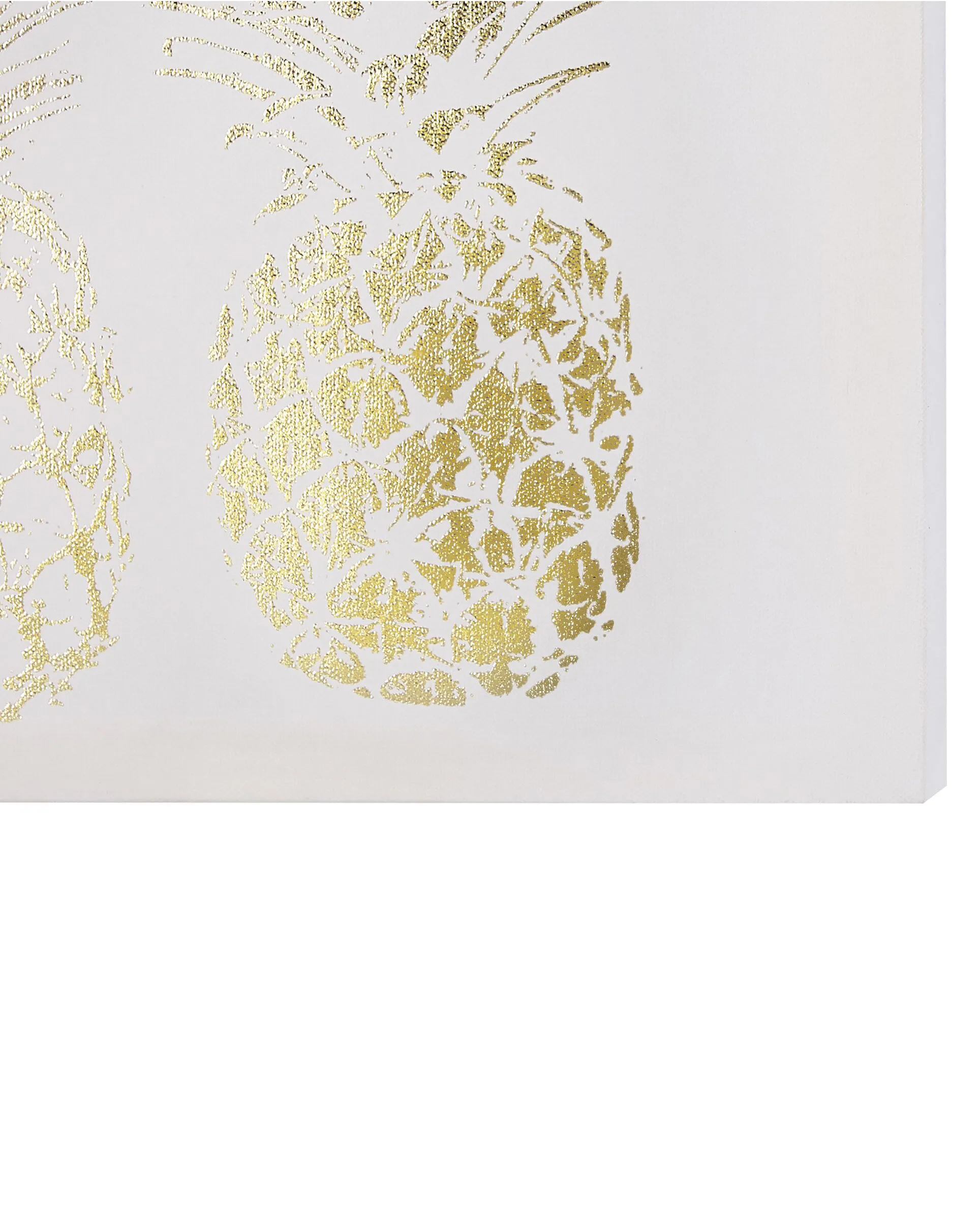 Set van 3 canvassen APESIKA Natuurlijk motief 30 x 30 cm Goud