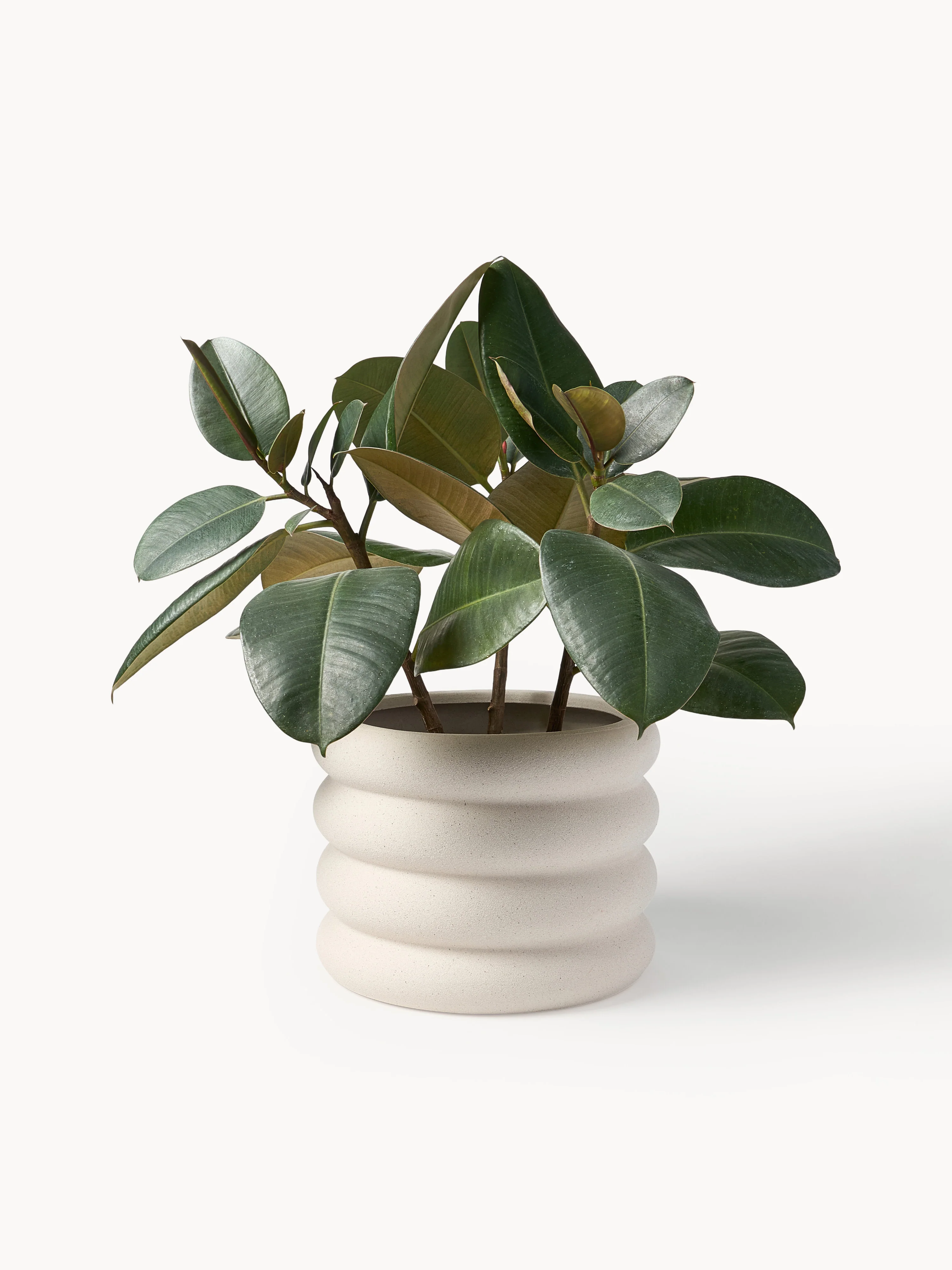 Plantenpot Rudi, H 23 cm