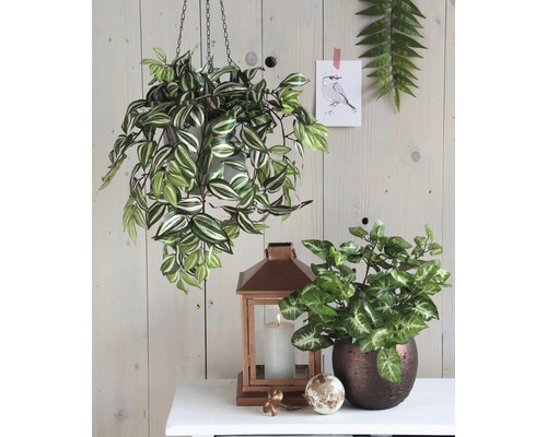 Kunstplant Paarse Pothos Syngnoium H 15 cm