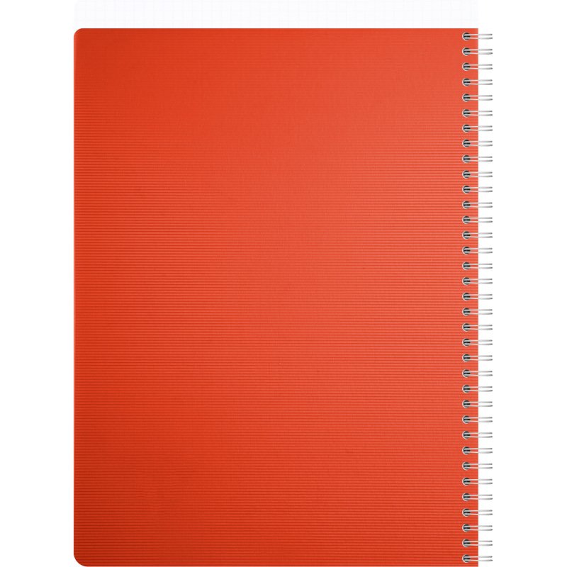 Carnet spirale Linicolor Essence A4 21 x 29,7 cm petits carreaux - 180 pages
