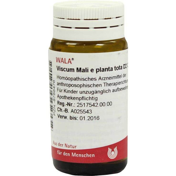 Viscum Mali e planta tota D, 20 g