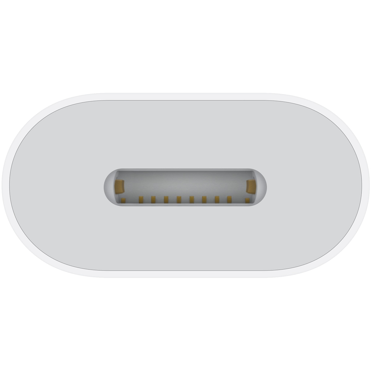 Apple USB-C til Lightning adapter