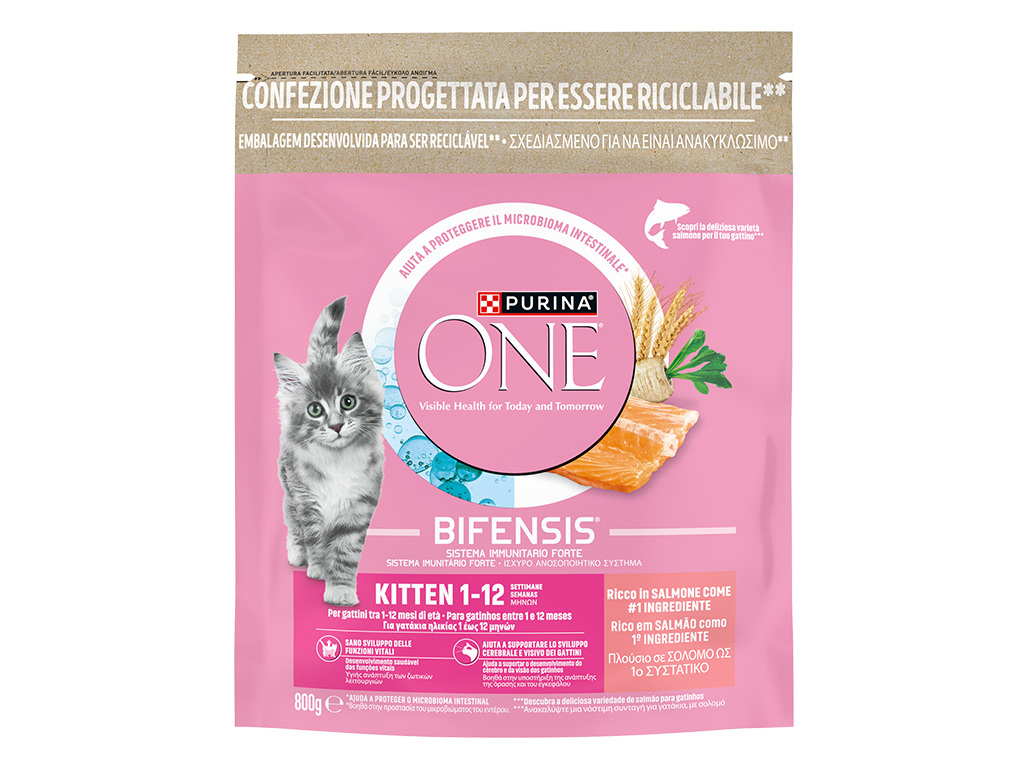 RAÇÃO GATO PURINA ONE JUNIOR SALMÃO 800G