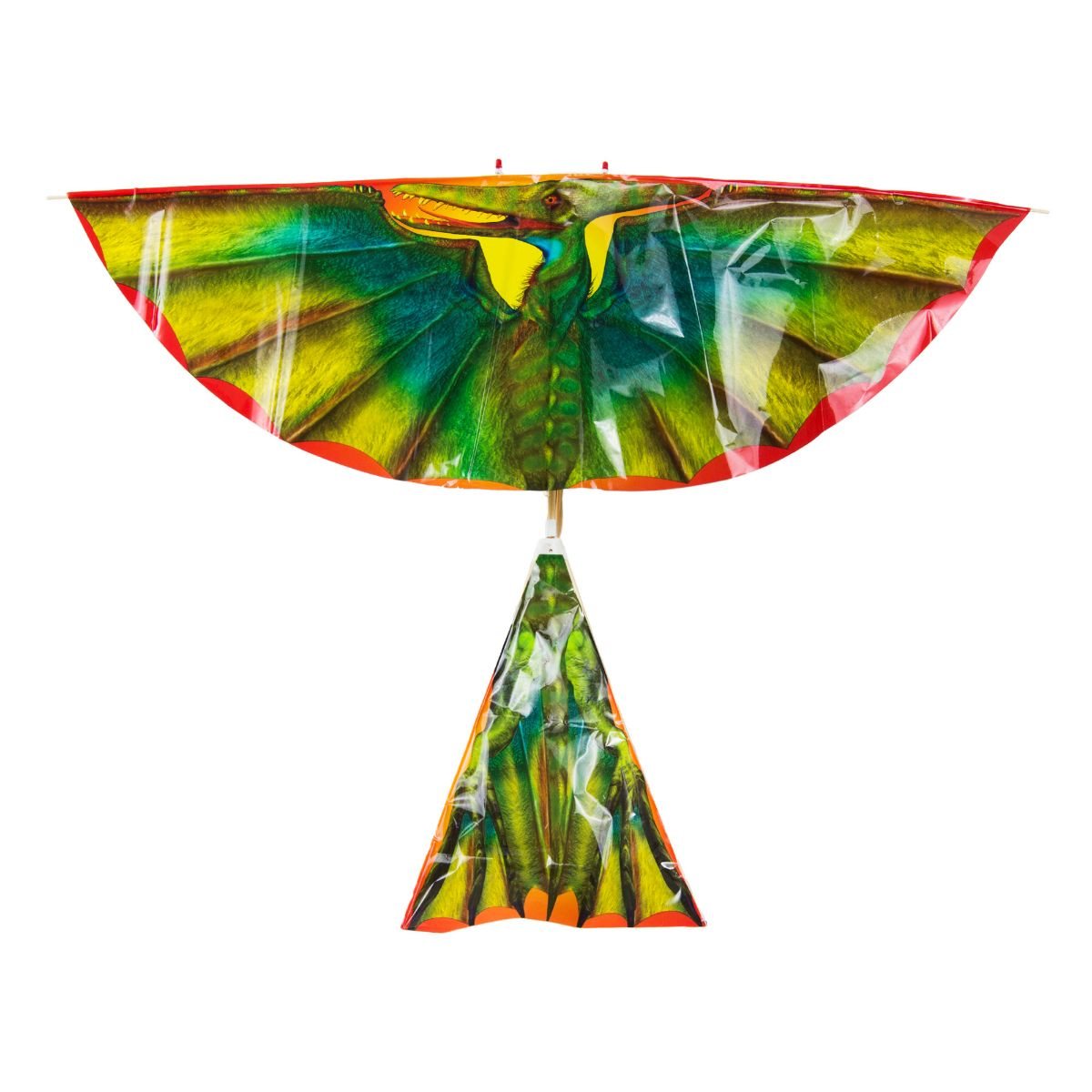 Pterodactyl Flying Machine