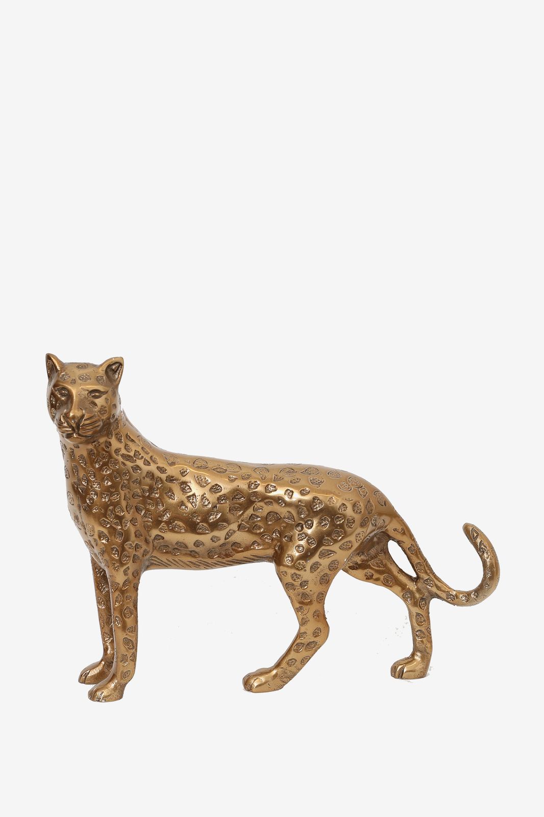 Goudkleurige leopard