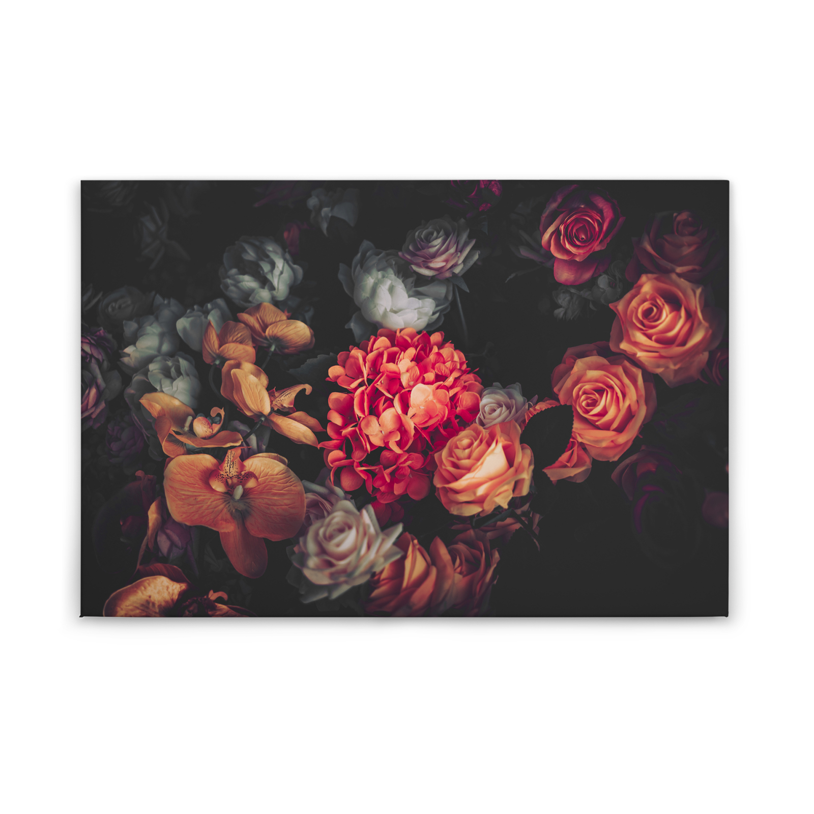 Leinwandbild BLUMEN - rot-schwarz - 90x60 cm