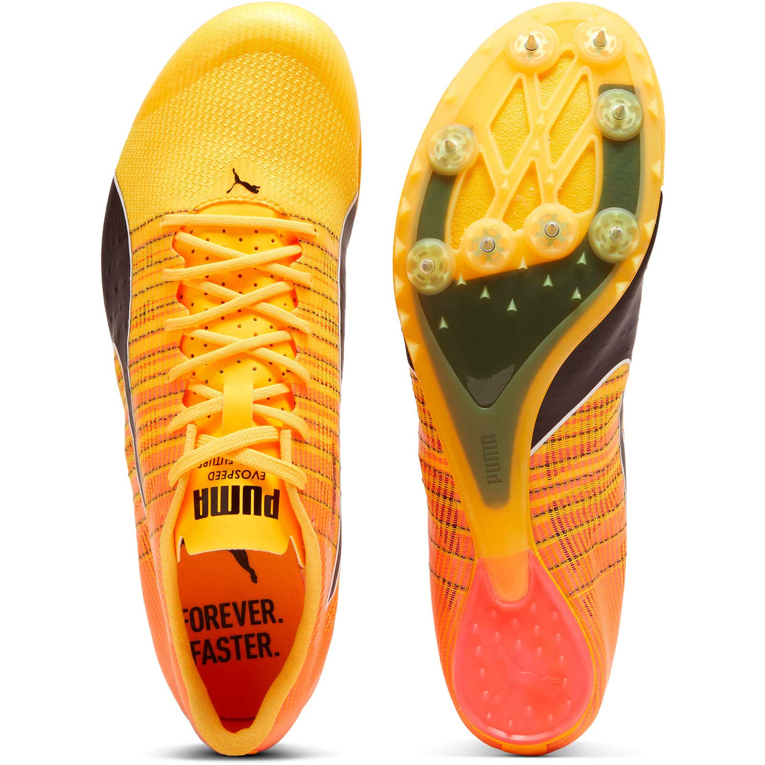 PUMA evoSPEED FUTURE 6
