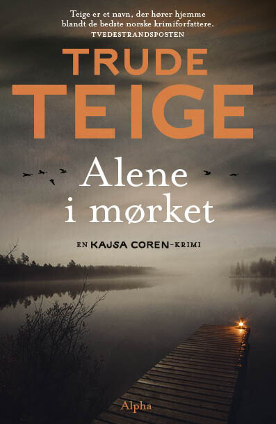 Alene I Mørket - Trude Teige - Bog