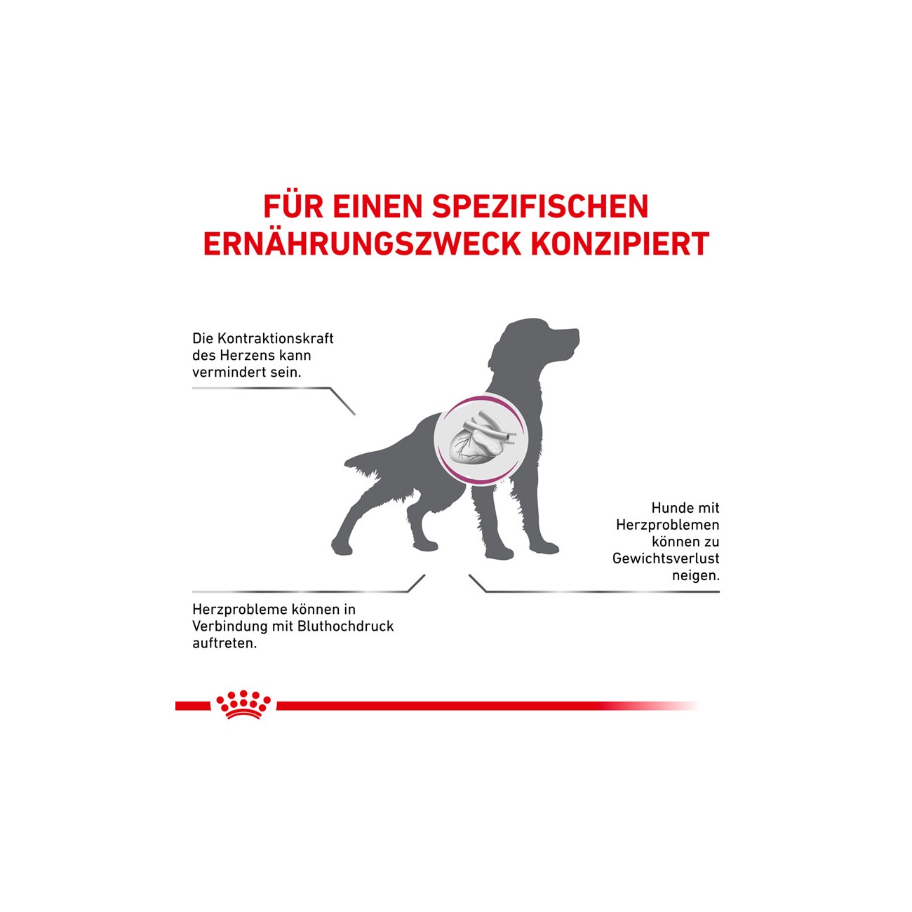 ROYAL CANIN Veterinary CARDIAC 2 kg