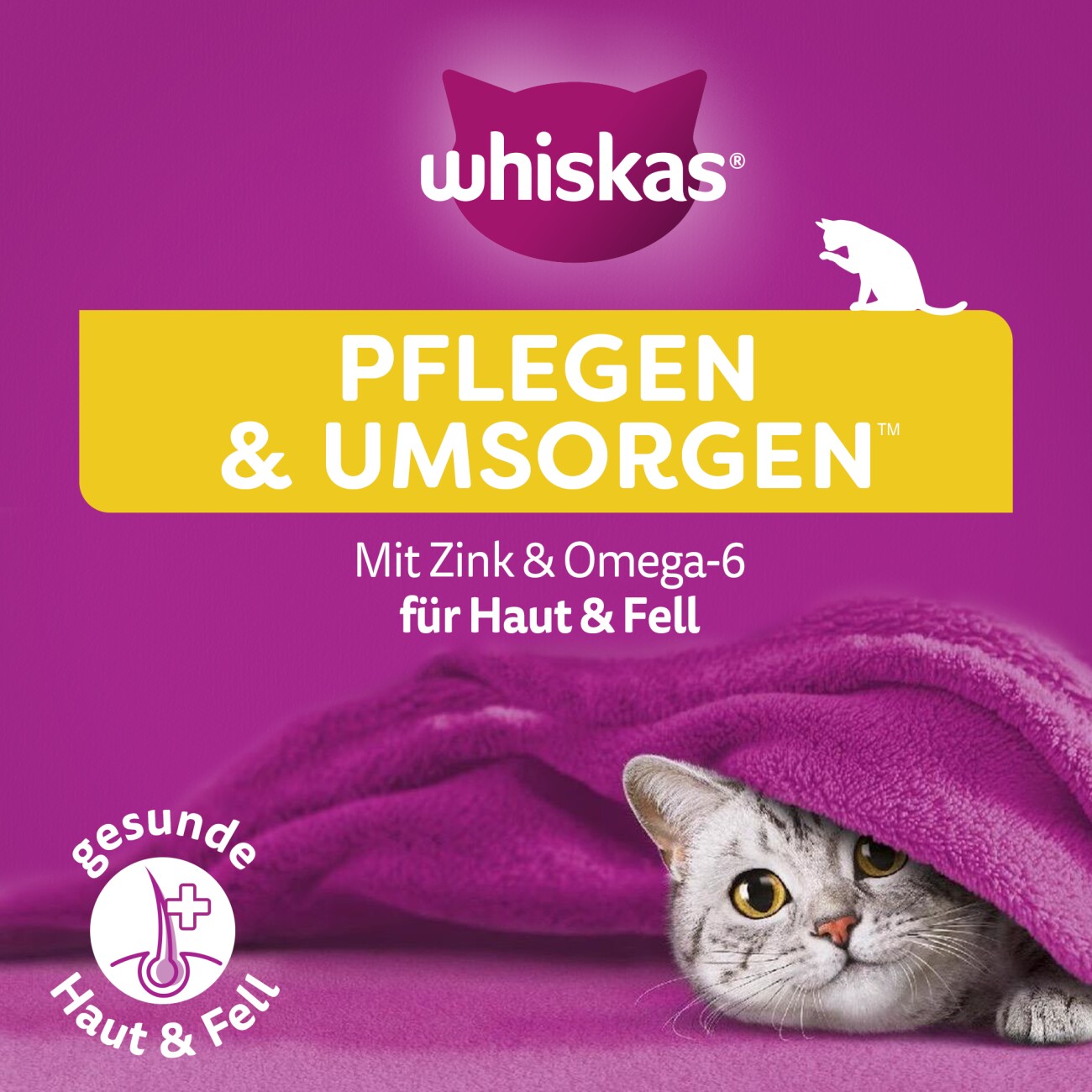 Whiskas Snack Groom & Care mit Huhn 8x45 g