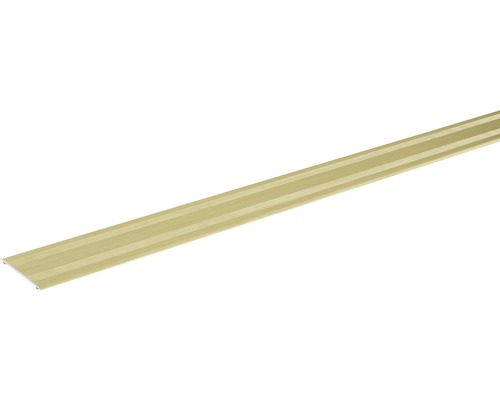 SKANDOR overgangsprofiel champagne geanodiseerd zelfklevend 2x38x900 mm