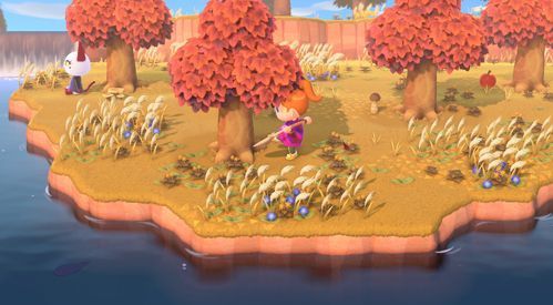 Animal Crossing: New Horizons - Nintendo Switch