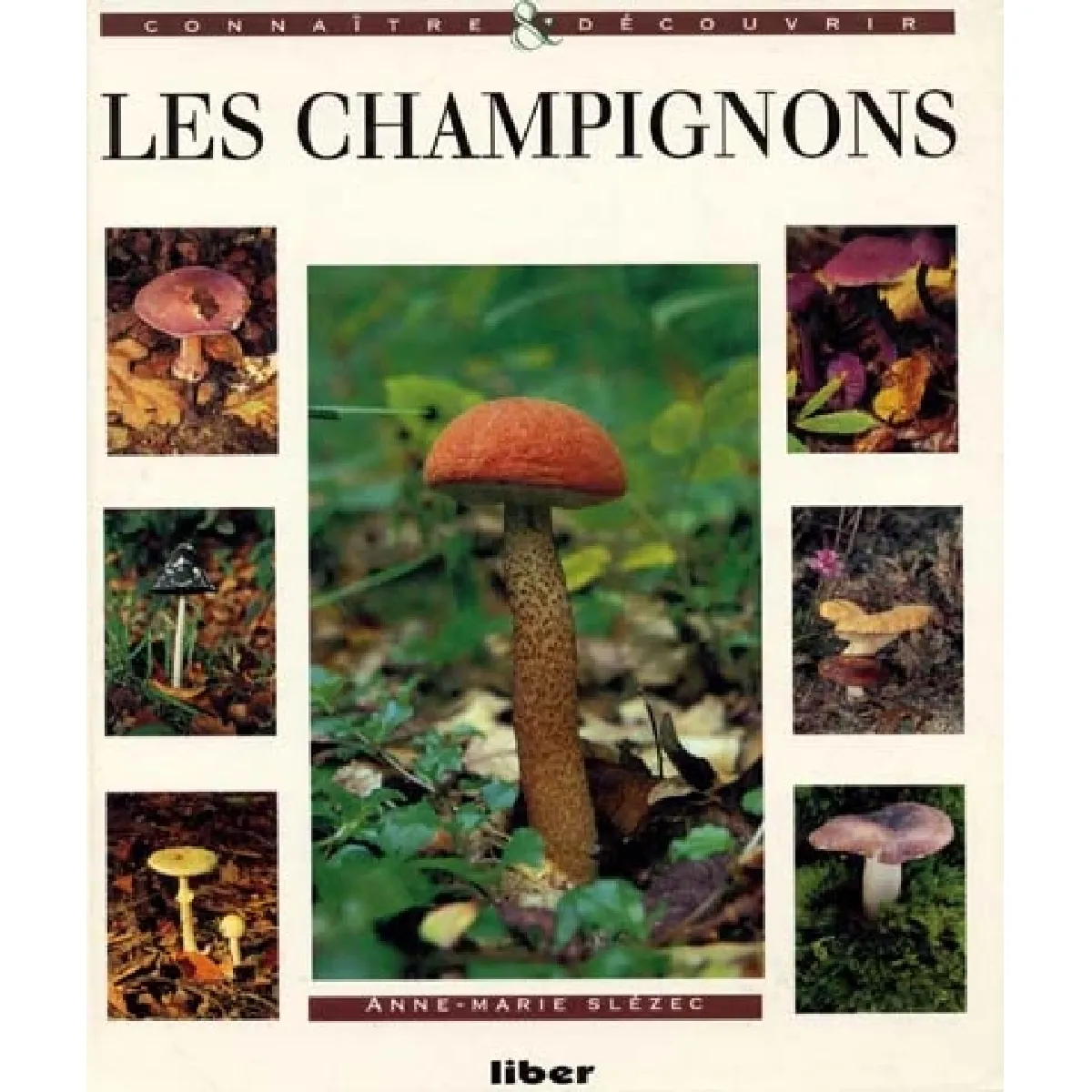 Les champignons · Occasion