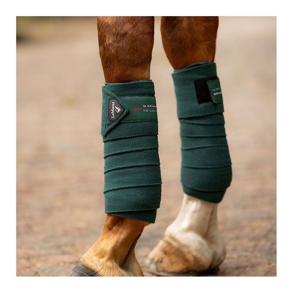Le Mieux CLASSIC - Bandes de polo x4 spruce