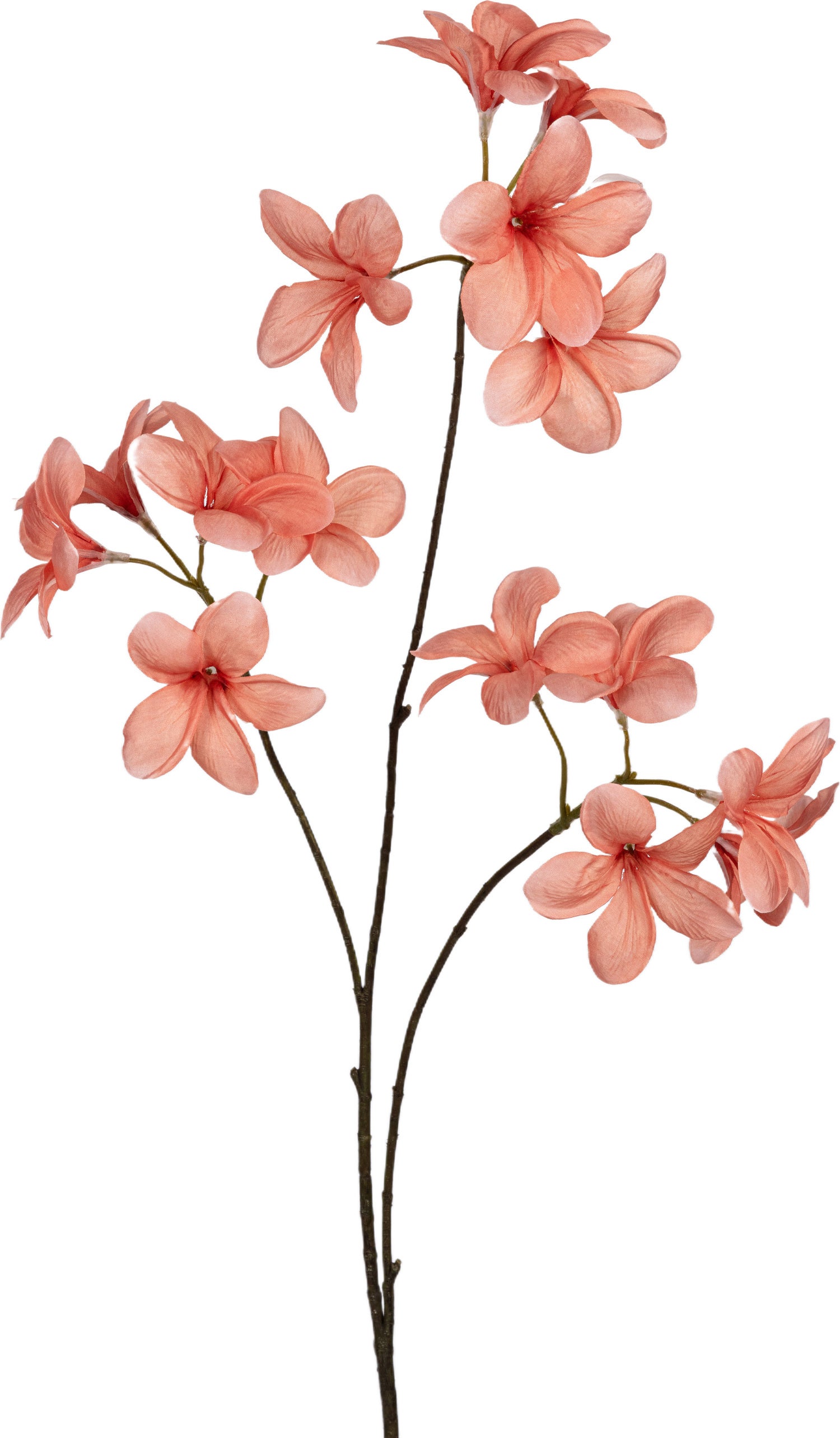 Louis Maes kunstbloem Plumeria roze 90 cm
