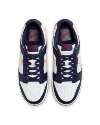 Nike Dunk Low Retro Men's Shoes